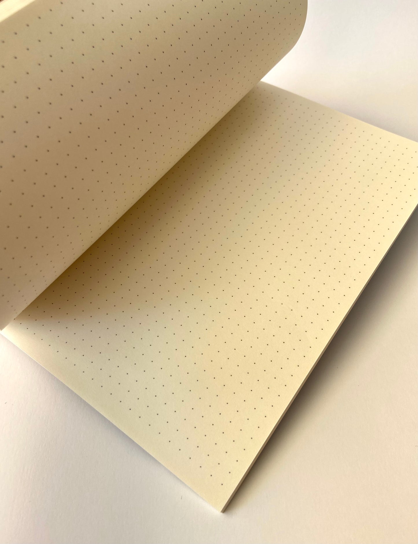 ETHNO NOTES BLOG