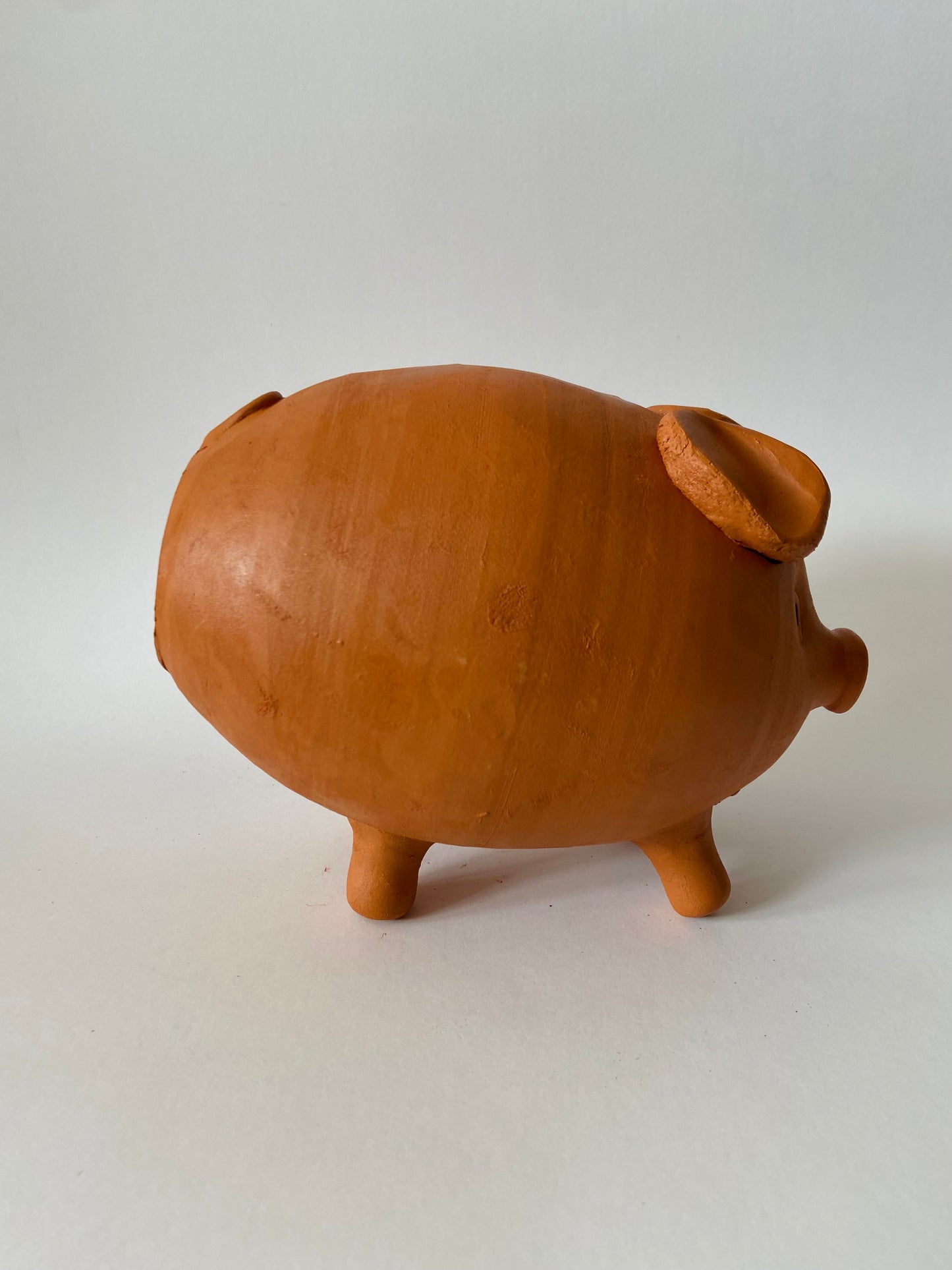 CERDITO HUCHA GRANDE