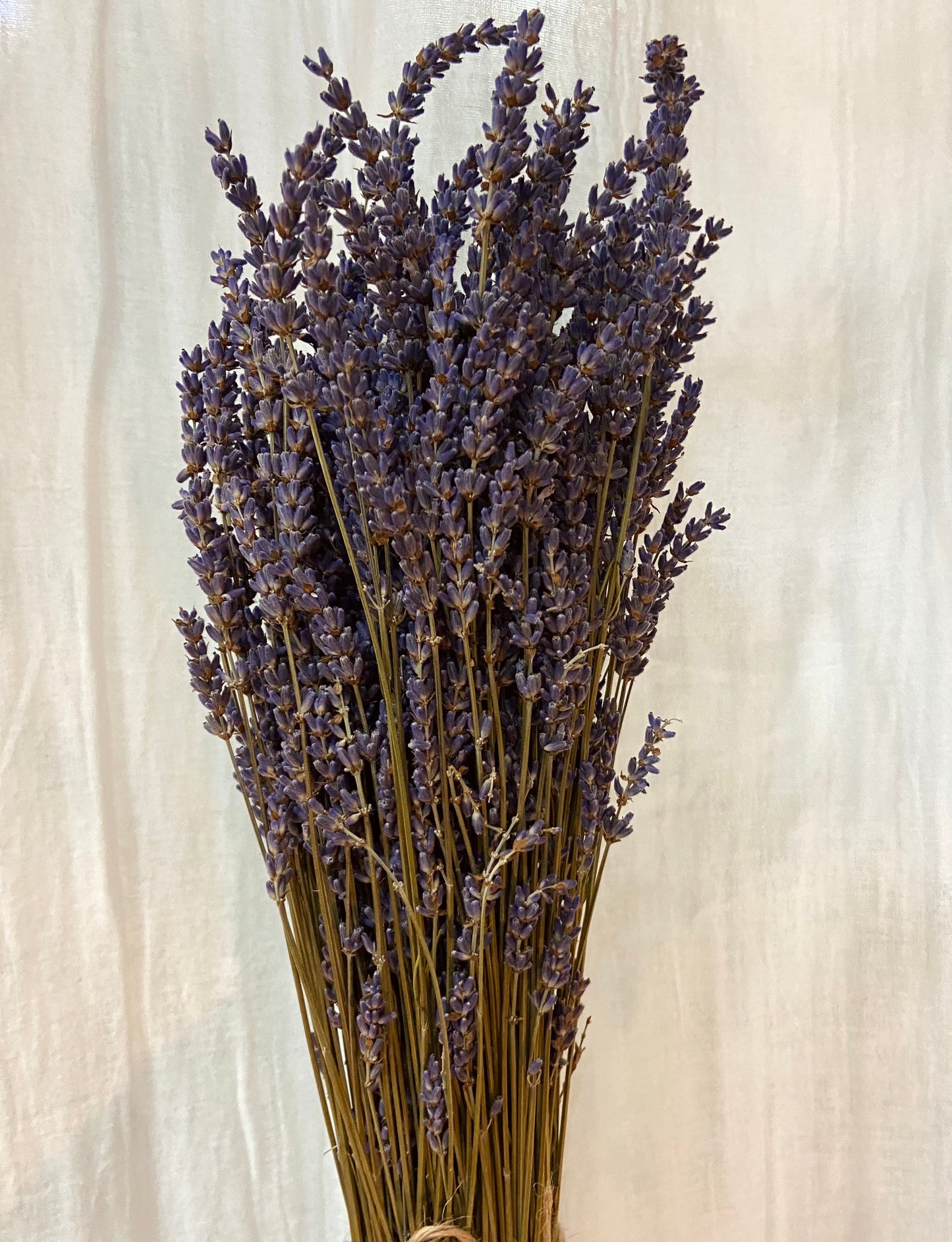 DRIED LAVENDER BOUQUET